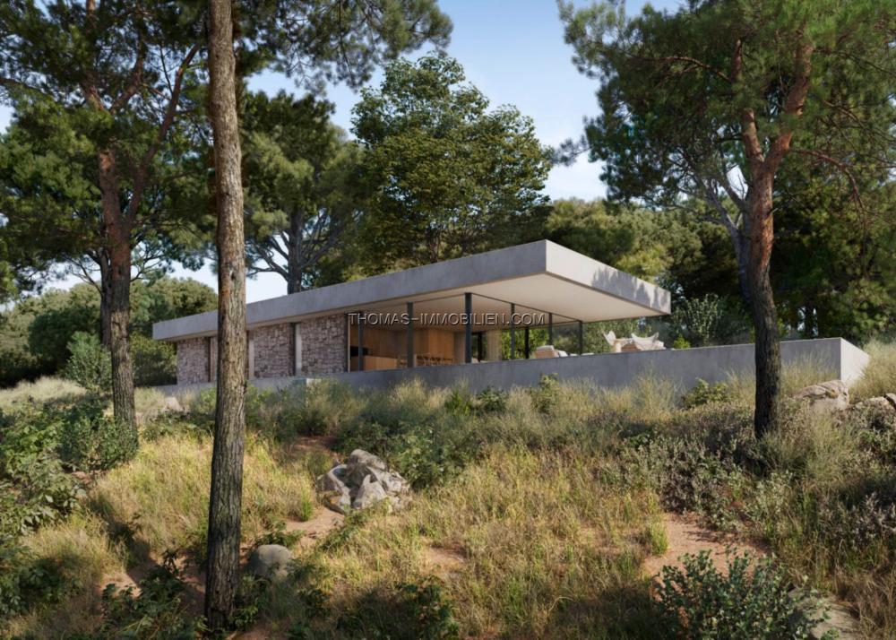 details-immobilie-1566