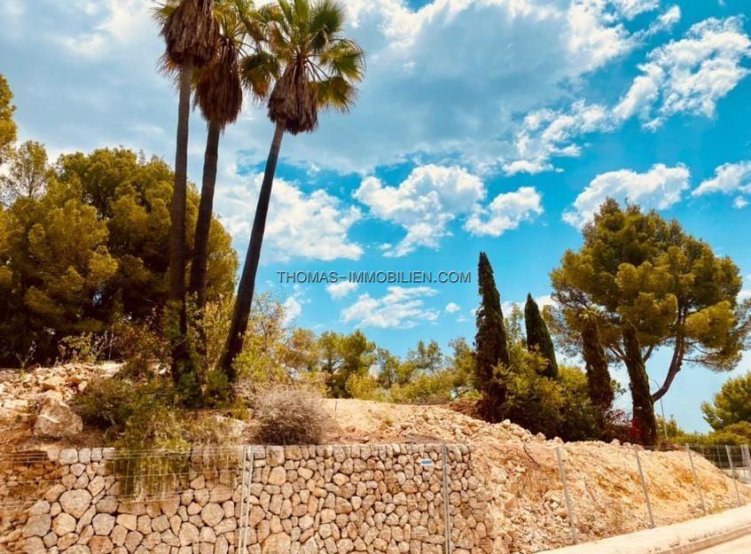 details-immobilie-728