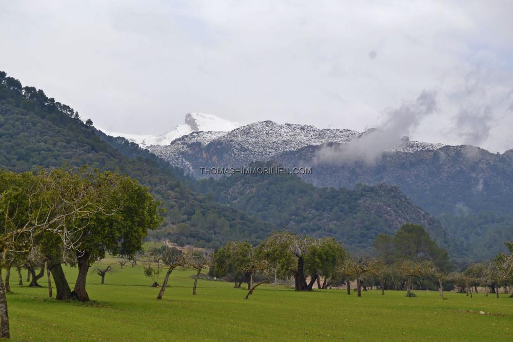 details-immobilie-773